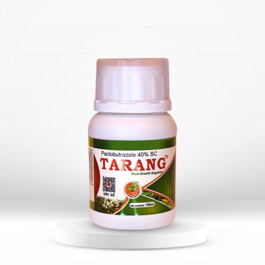 Tarang
