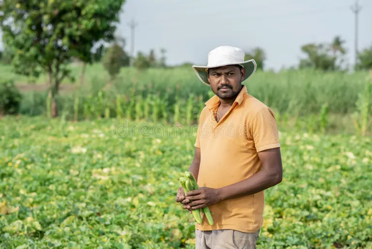 Farmer